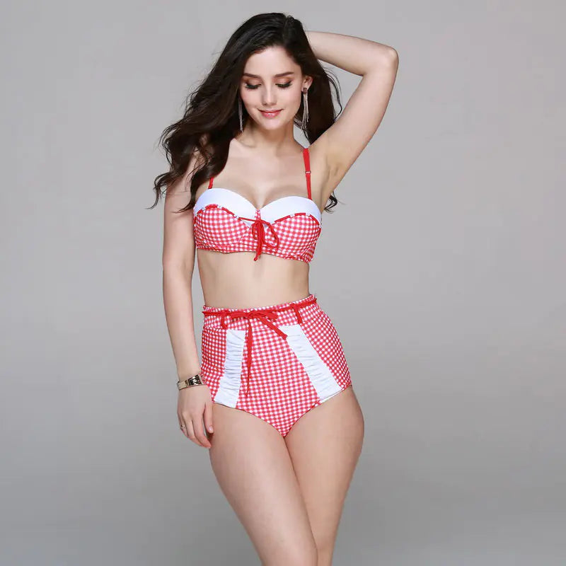 Plus Size Fashionable Checkered Bikini for Women
