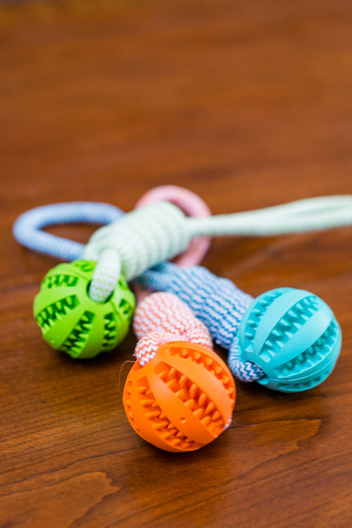 Pet Durable Rubber Ball Chew Toy with Cotton Rope