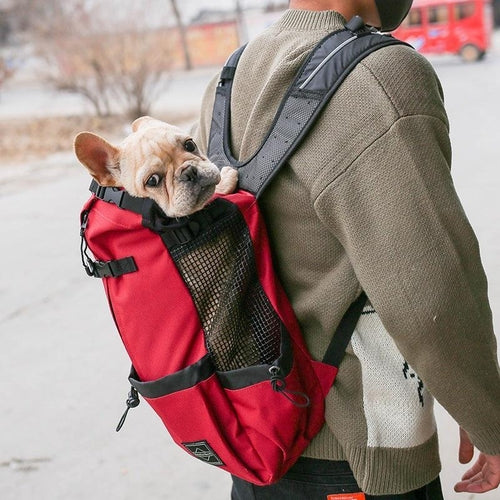 Pet Backpack-Double Shoulder Portable Dog - Travel In Style